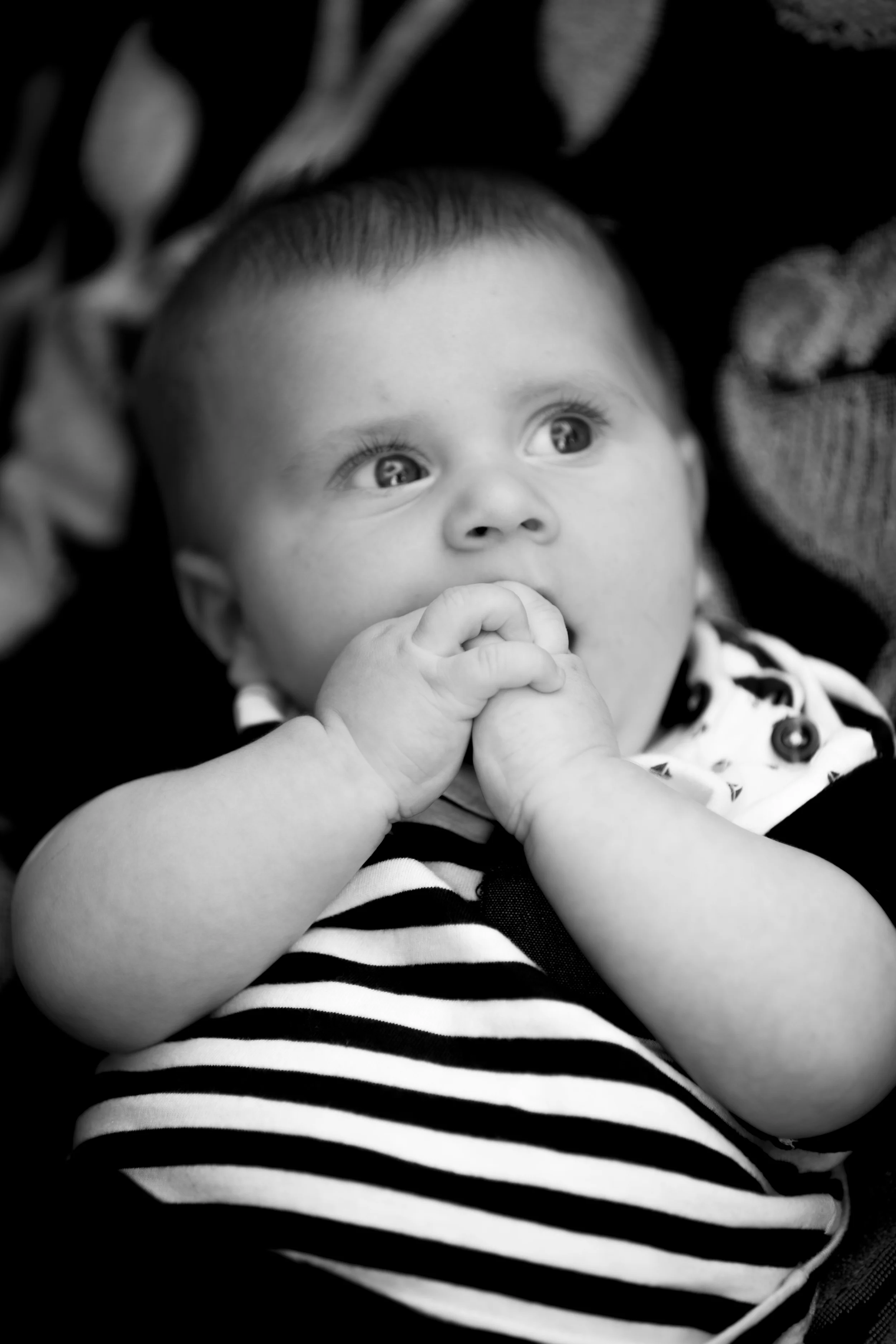 -ADDO-Photography-Design-3.jpg