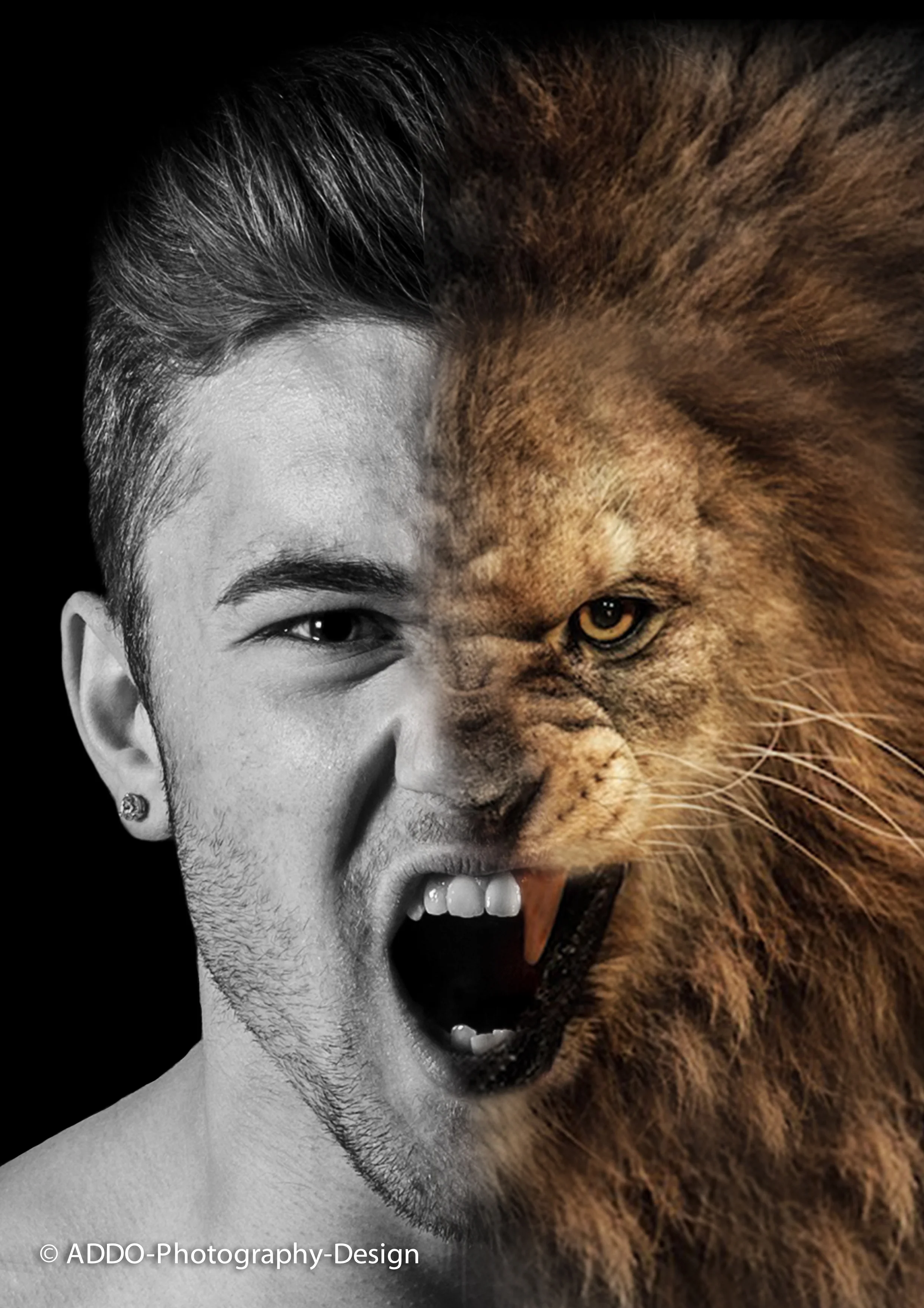 ©ADDO-Photography-Design.jpg