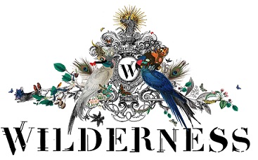 Wilderness-Logo_plainuse.jpg