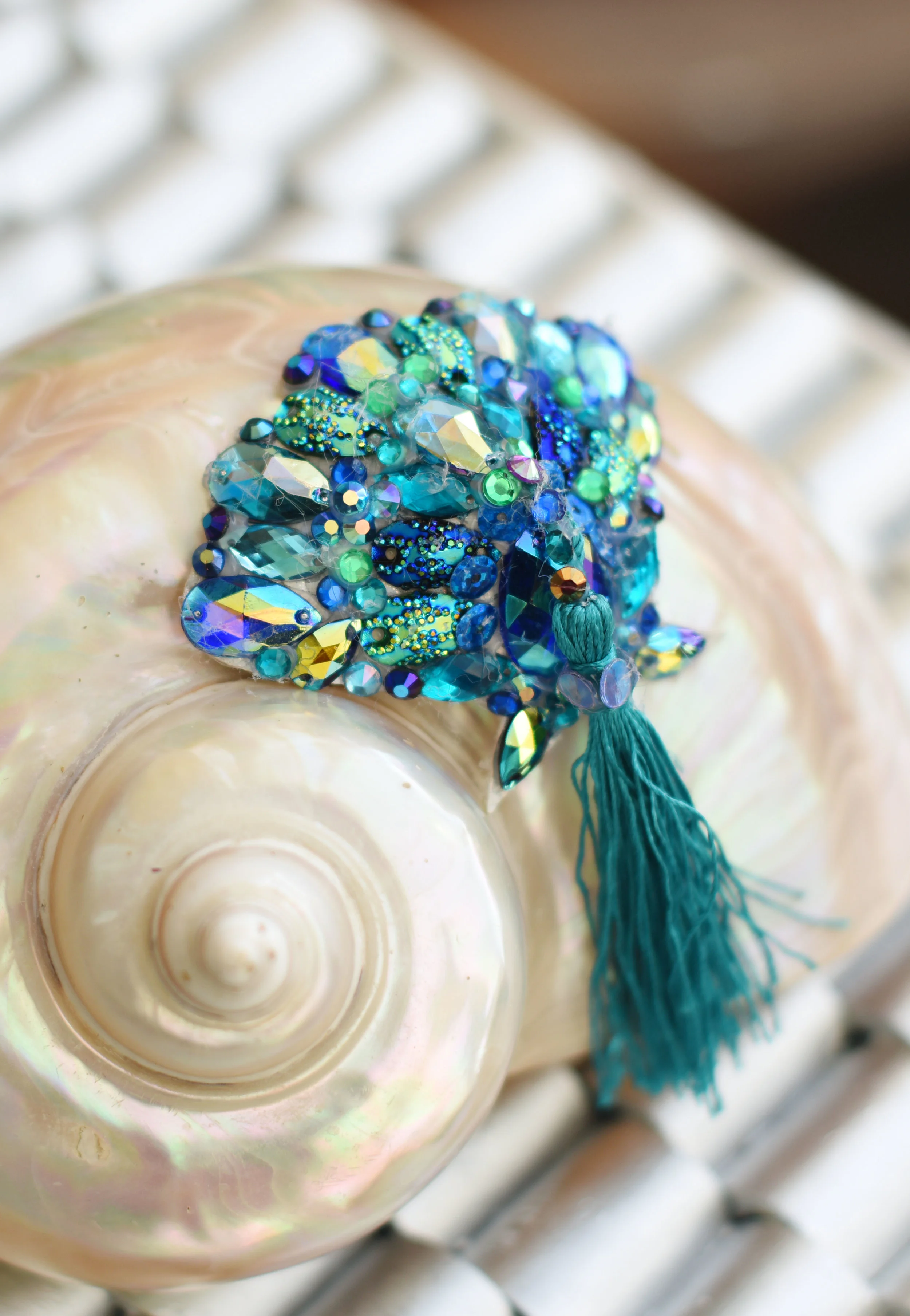 turquoise shell close up 1.jpg