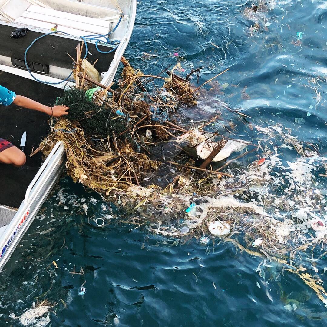 THE GIANT GHOST NET WHERE SHE WAS TRAPPED ON THE SURFACE BEING SAFELY REMOVED FROM THE OCEAN.