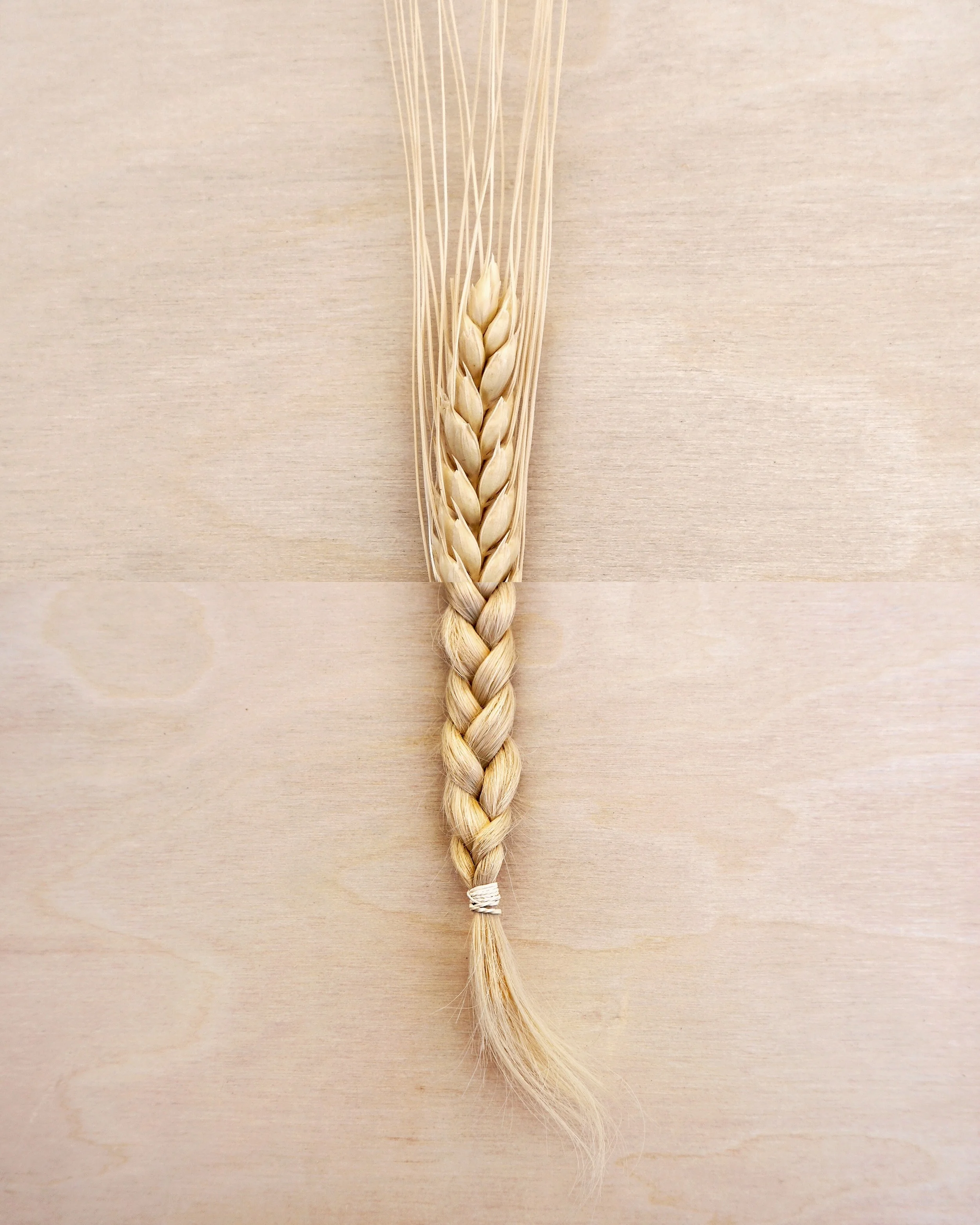 wheat hair.jpg