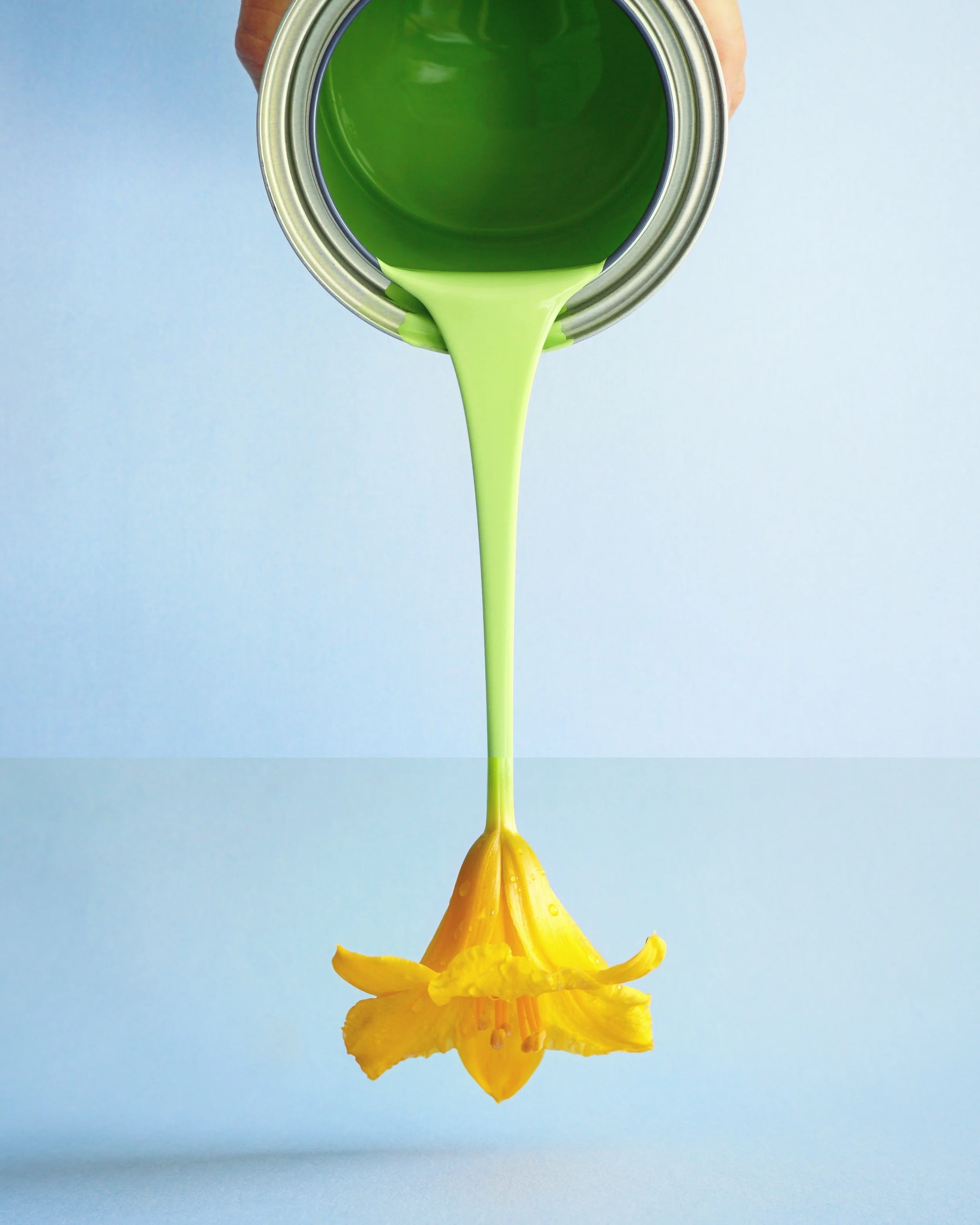paint lily.jpg