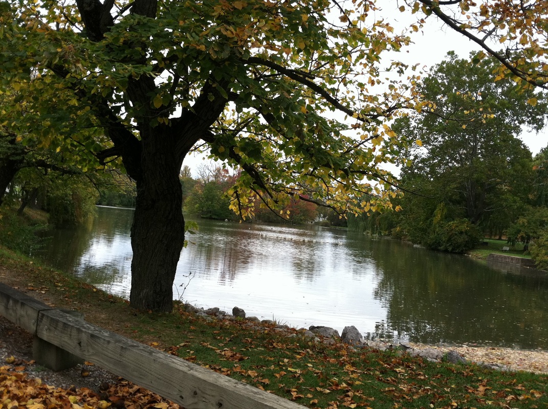 { The Duck Pond + all its beauty. }