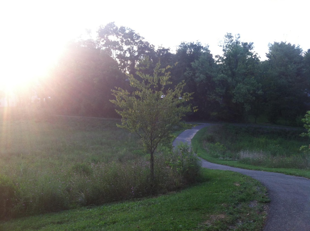 { A quiet park behind my old apartment. It was my go-to spot for thinking + long walks/runs. }