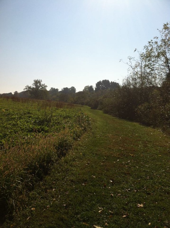 { Sunday runs at Heritage Park. This trail was a hidden Blacksburg gem. }