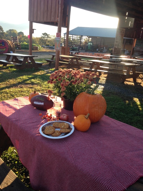 { The start to a fall photo shoot. }