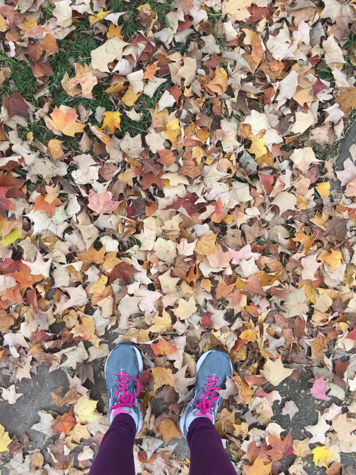 { Hues of fall. }