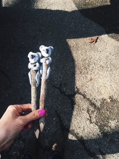 { Koala pencils are always a good idea. }
