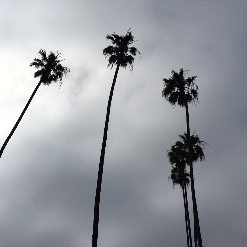 { Looking back on my trip to LA in May. Even the dark skies are beautiful. }