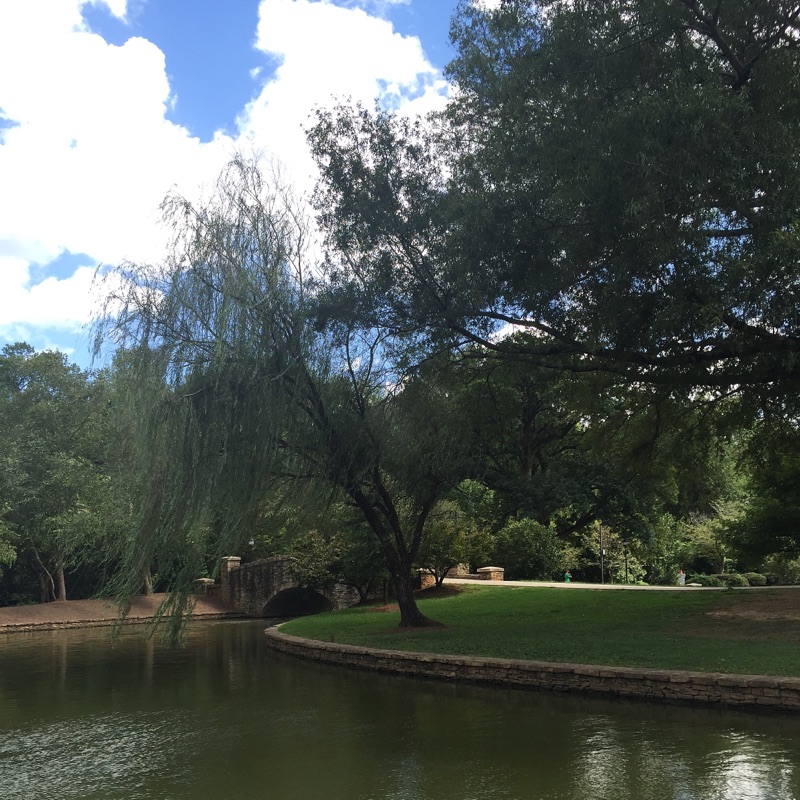 { Freedom Park looking extra pretty on a Sunday. }