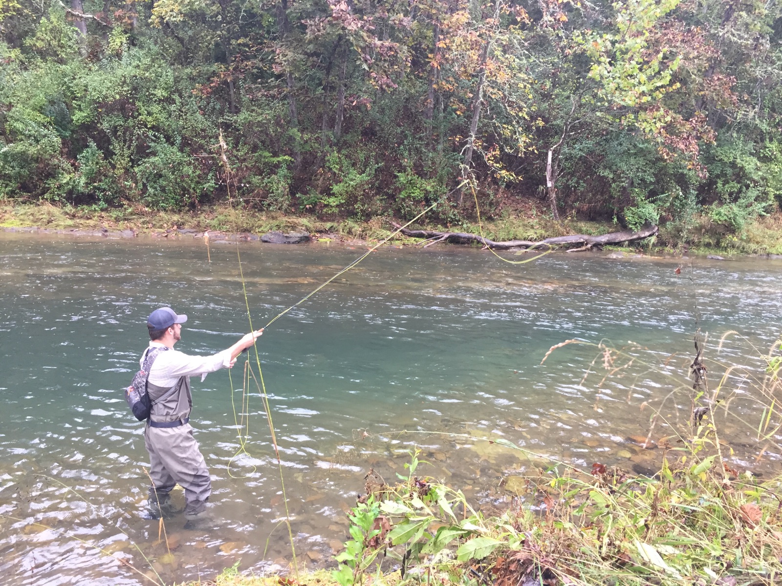 { Fly fishing in motion. }