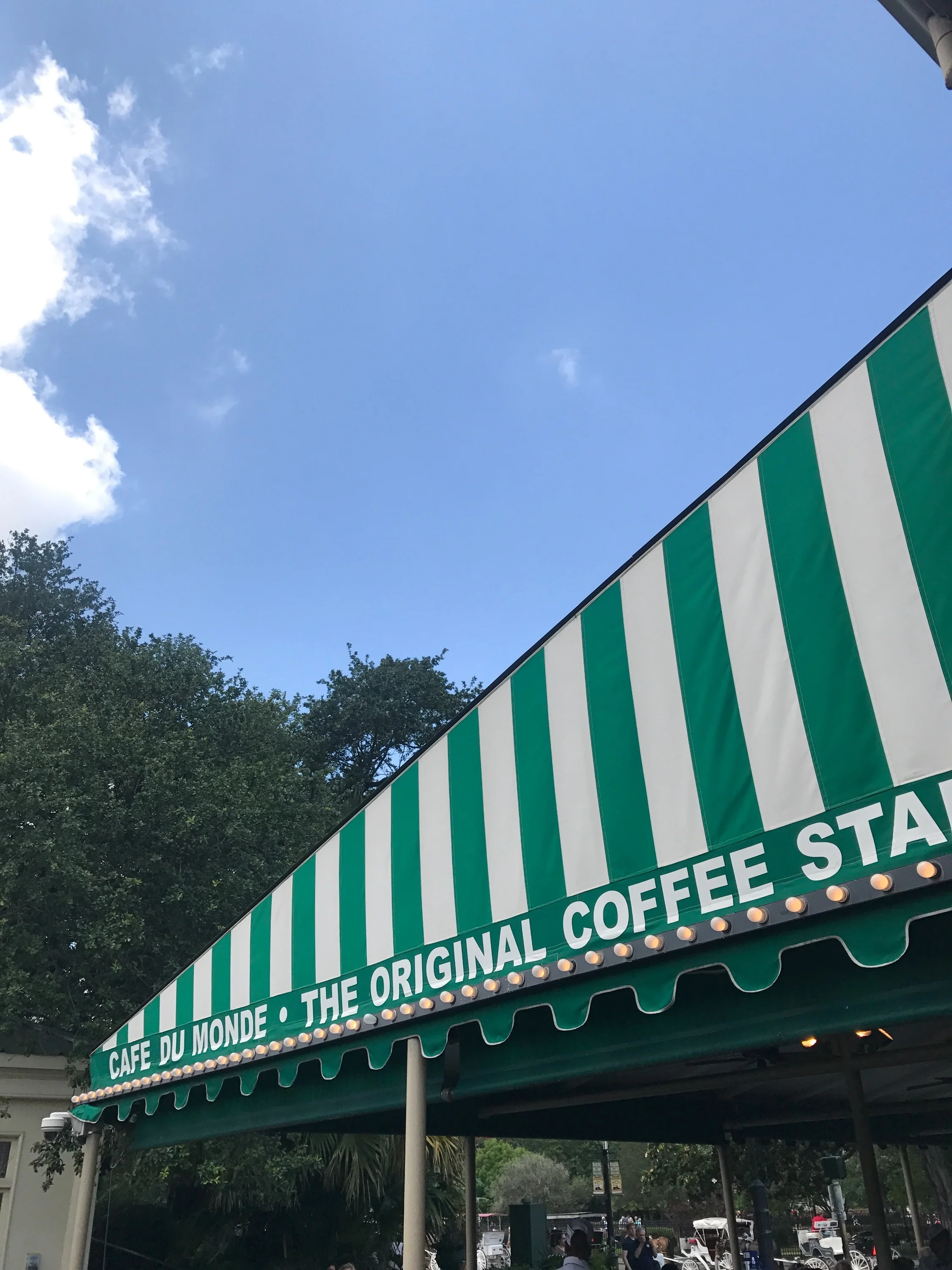 { Cafe du Monde looking mighty fine }