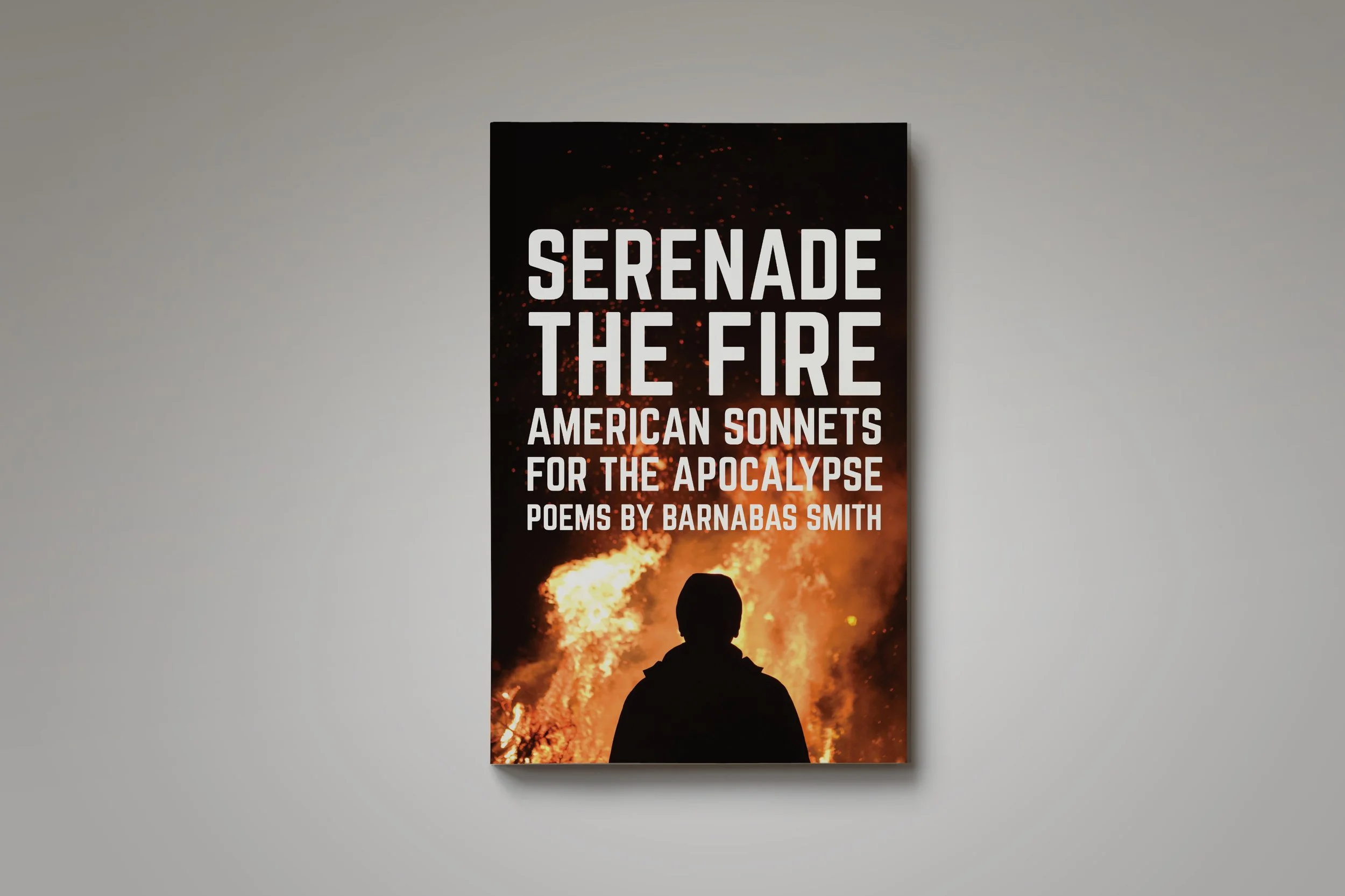 Written in the tradition of American sonnets developed by Wanda Coleman, Smith's poems explore themes of love, loss, and the search for meaning in a world that seems to be falling apart. (Copy)