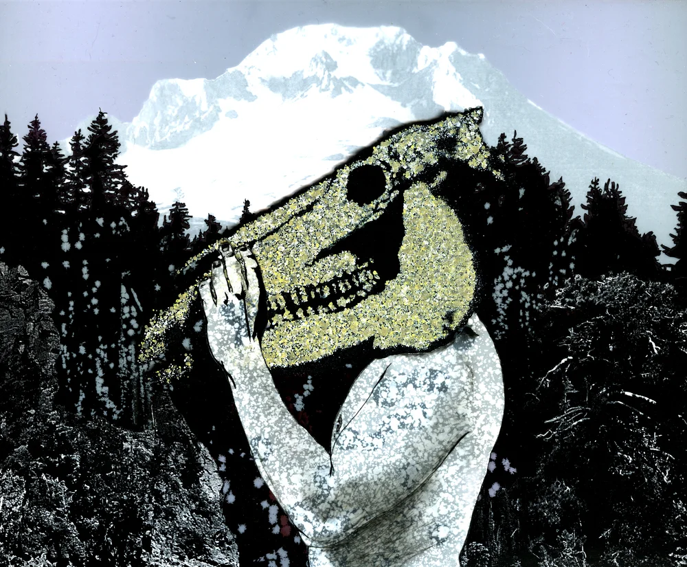 Loss. Ink, spraypaint, and collage, on plexiglass. 2010.
