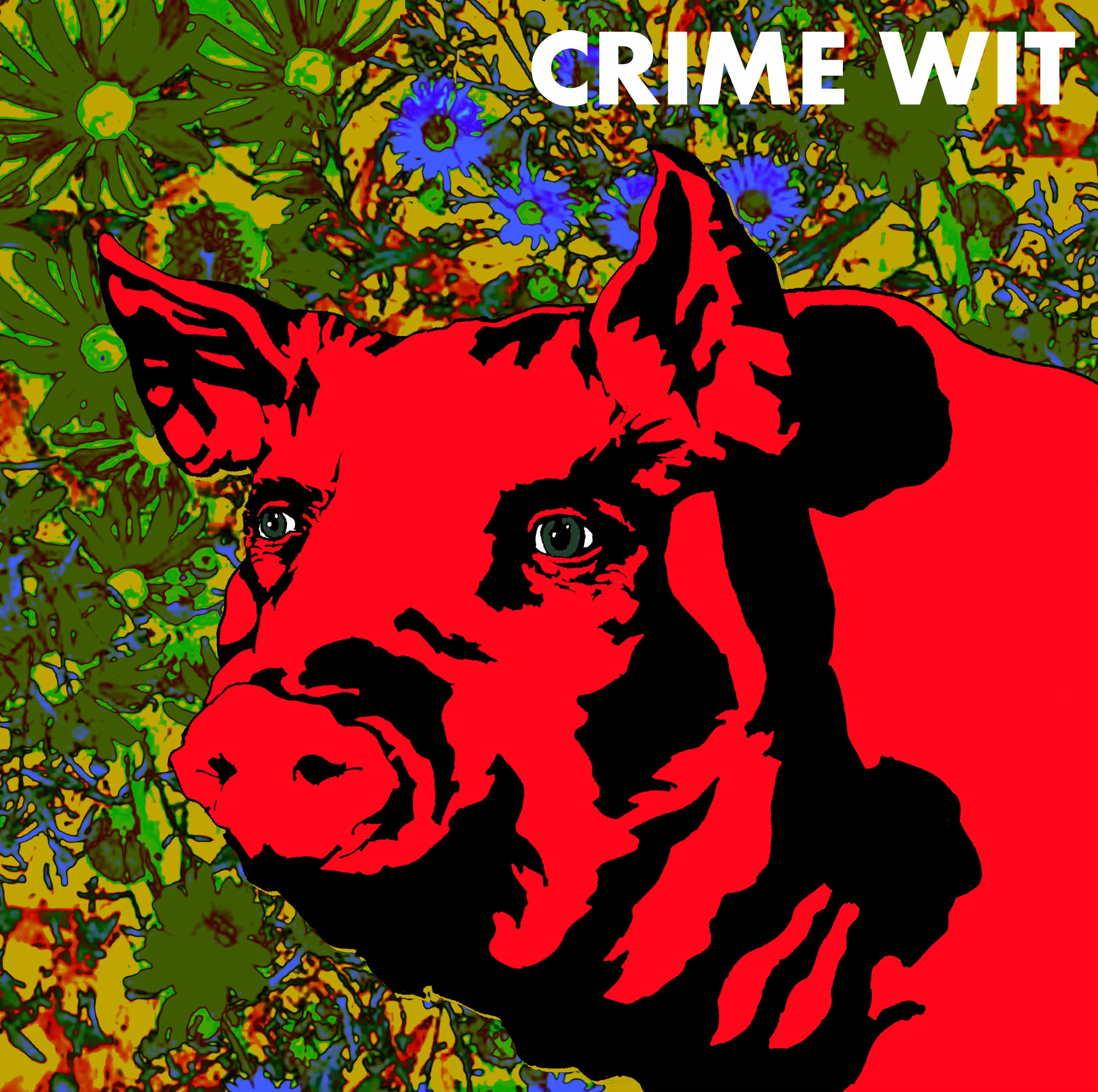 Crime Wit album art. Ink drawing and collage, Photoshop design. 2014.