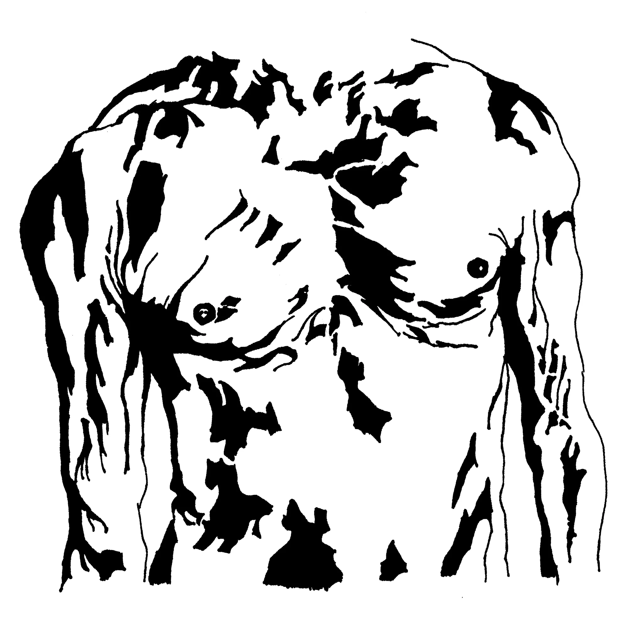 Iggy Pop's torso, 2017