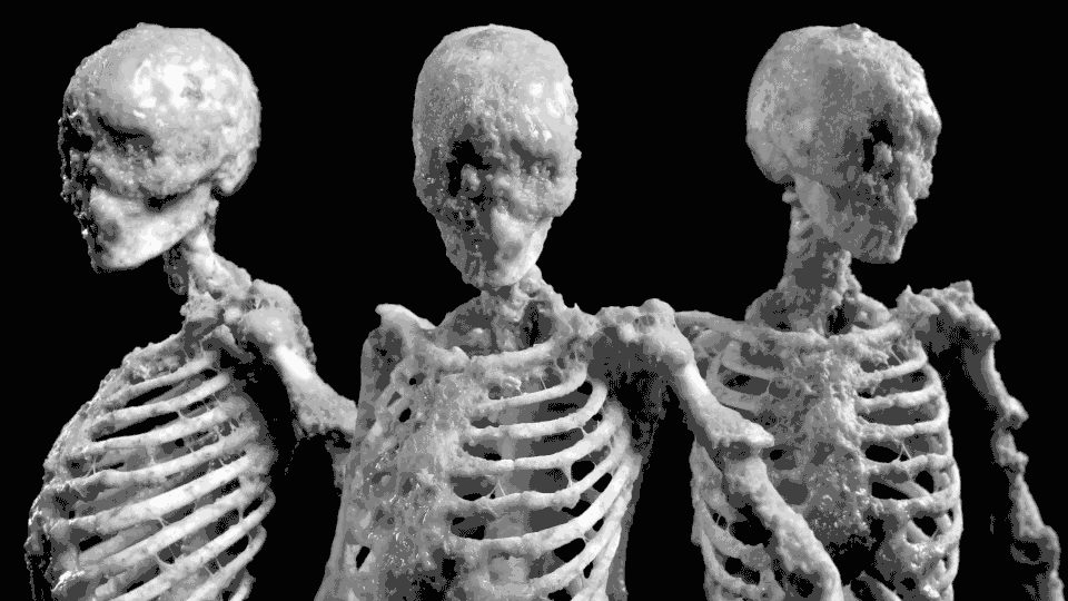 3-skeletons-b-and-w.gif