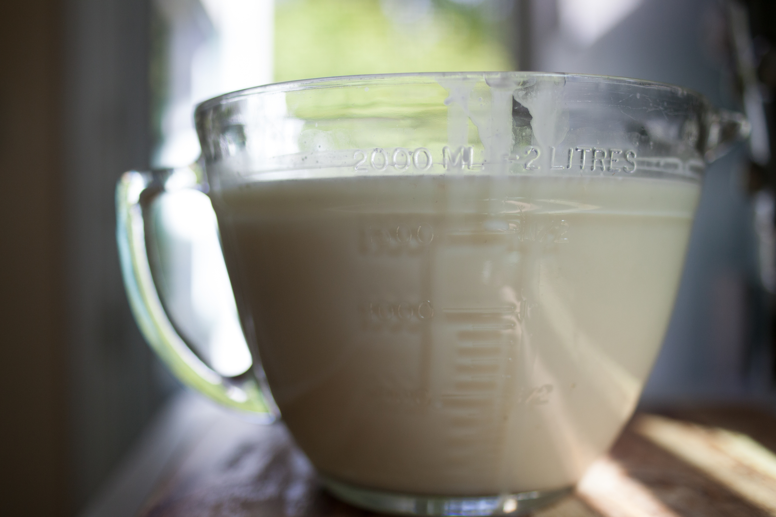 Measure out your milk, and set aside the yogurt culture/or starter for use in the final step. I like to use whole milk if I'm using cows milk. You can use any milk or nut milk (almond, soy, goat, cow, coconut, cashew). Be crazy. Be wild. Give it a try. 