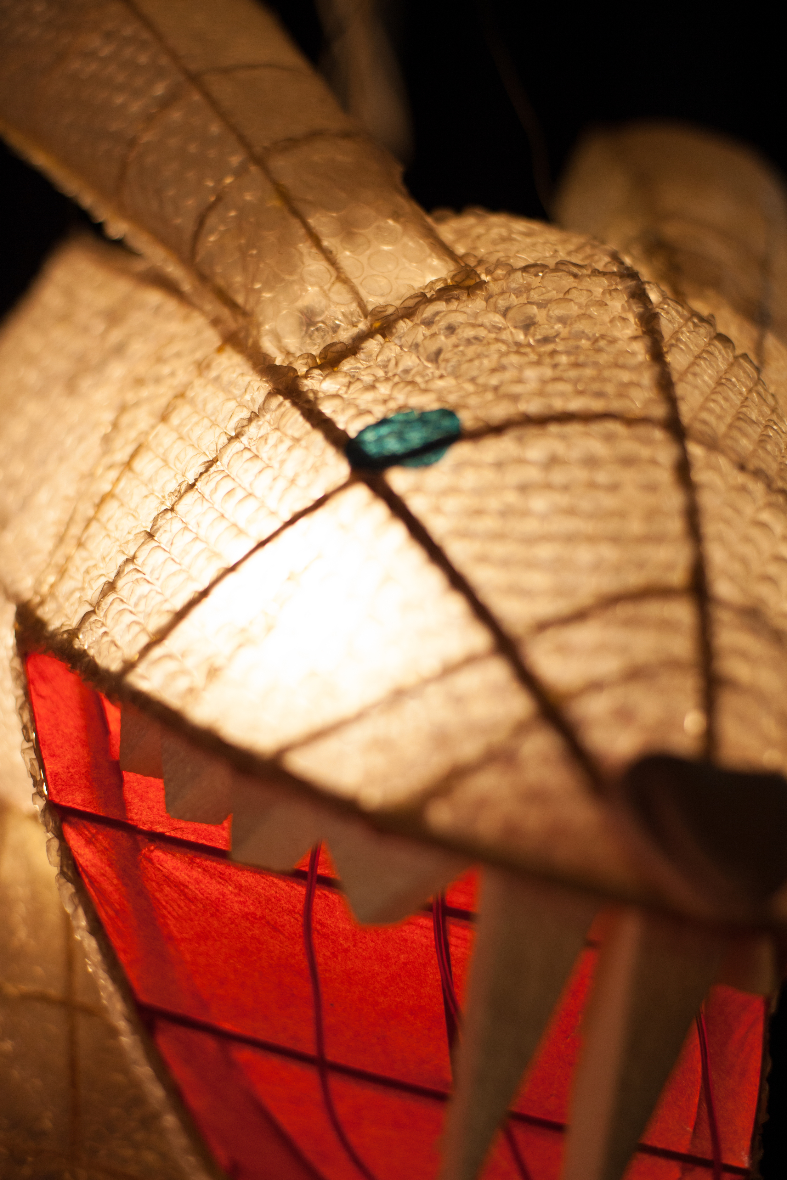 Illuminiferous Lantern Display.