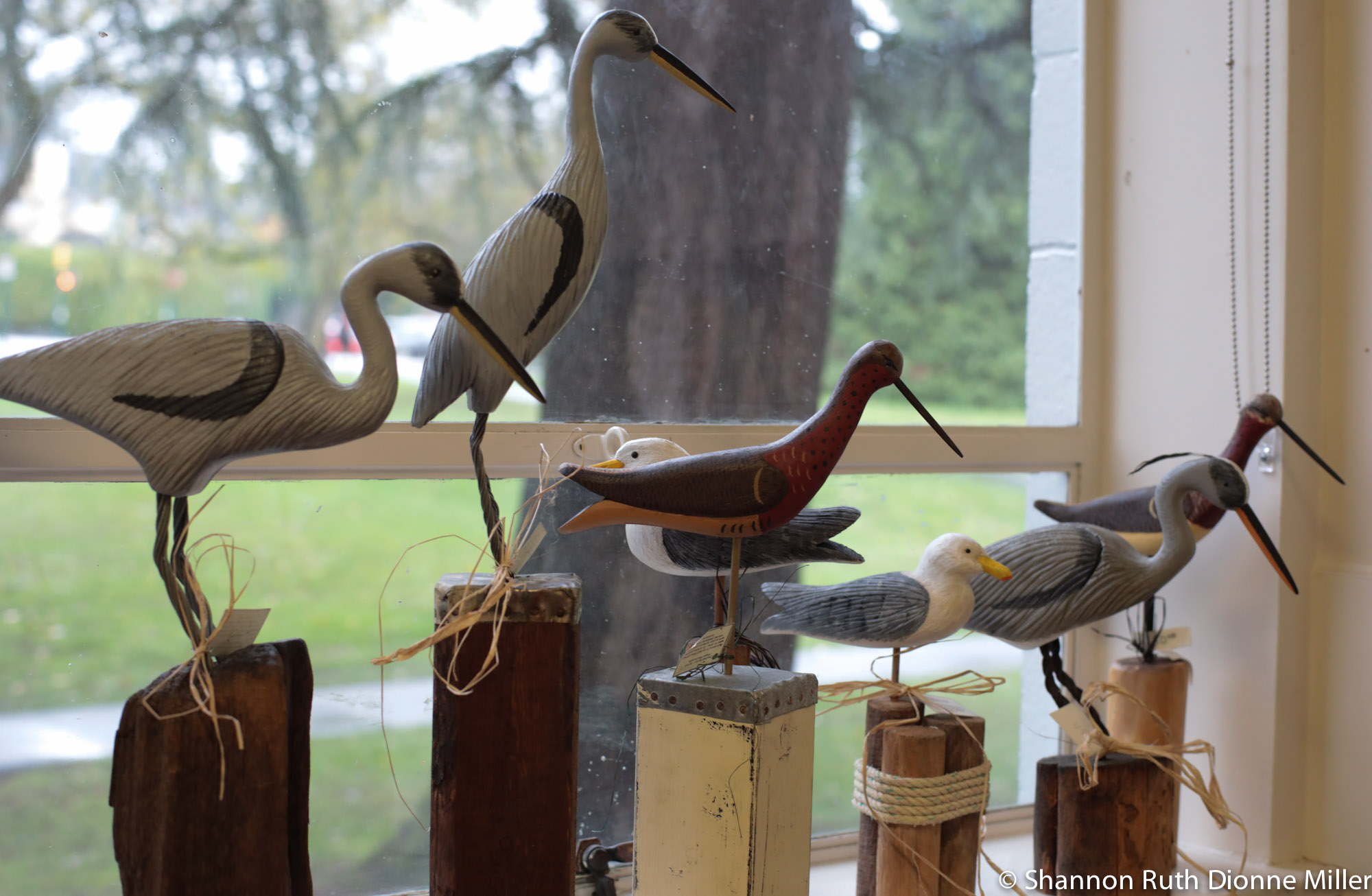 BC Artist Angus MacDonald