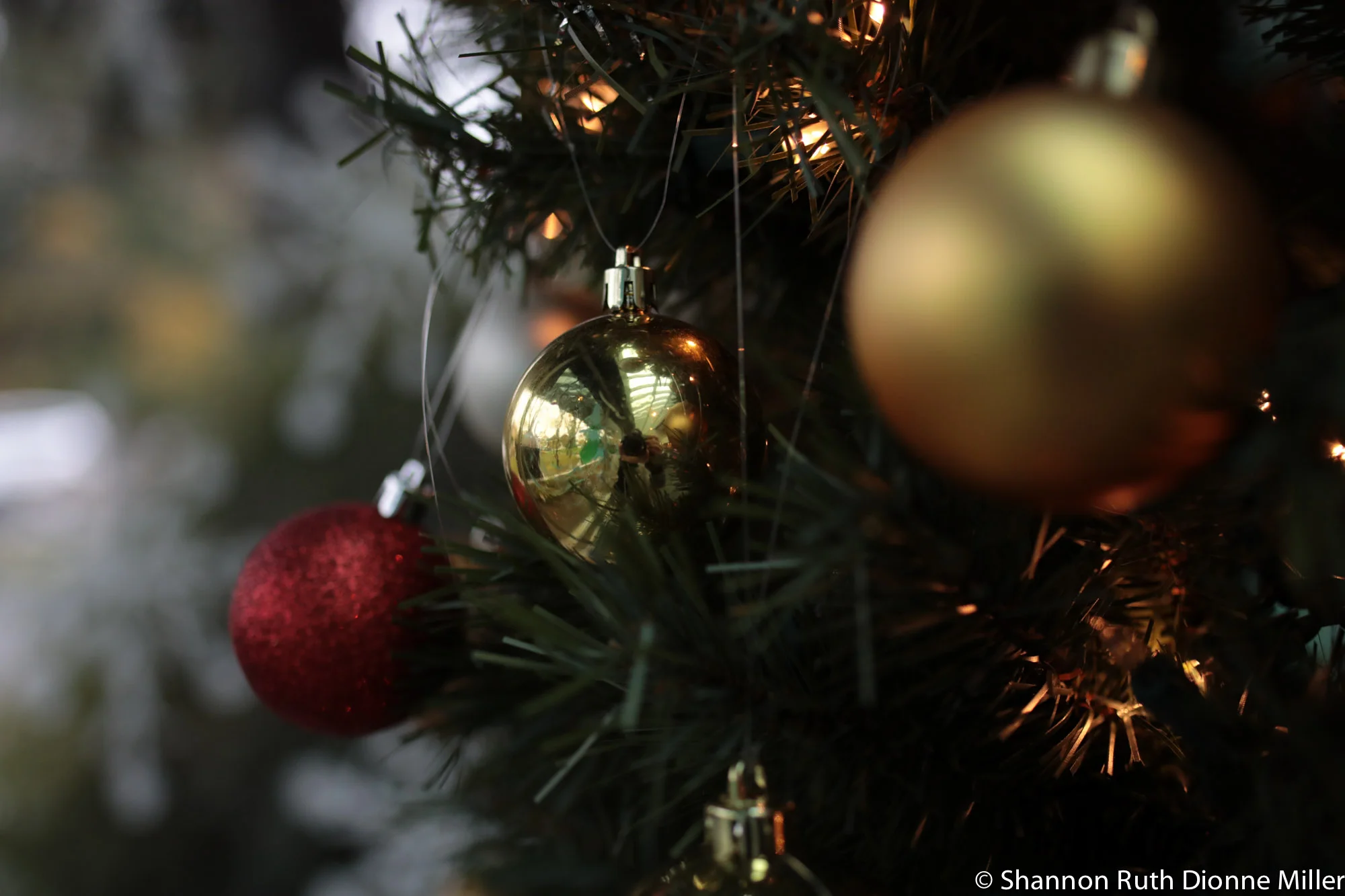 www.shannonruthdionne.com_DunbarXmasFair2016-242.jpg