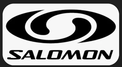 salomonlogo.jpg