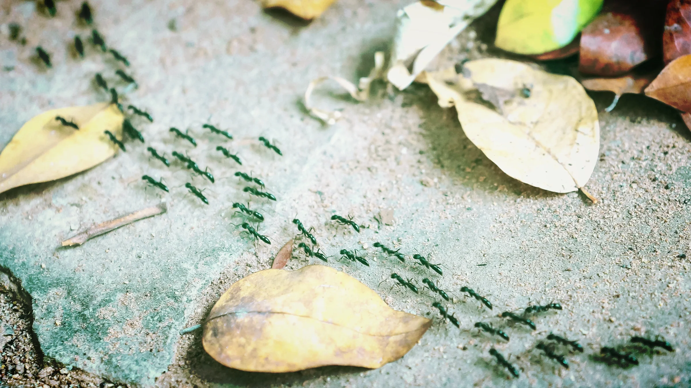 Respect networks, and use caution when sharing cross channels.