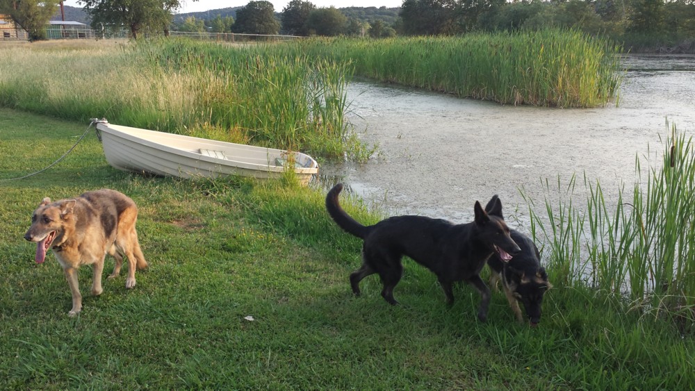 20130701_194546.jpg
