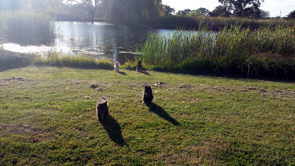 20130930_171425.jpg