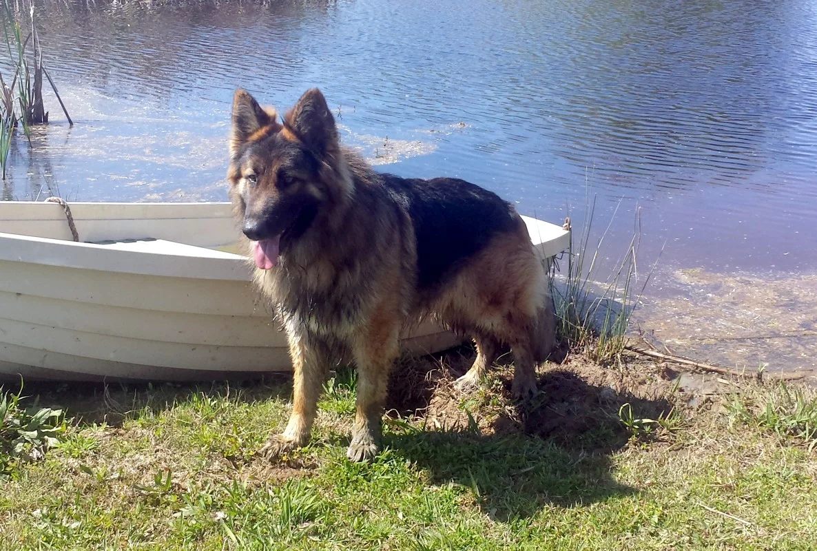 20140323_130412.jpg
