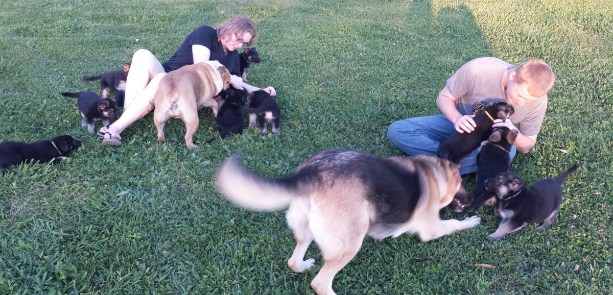 Lots of socializing for our babies