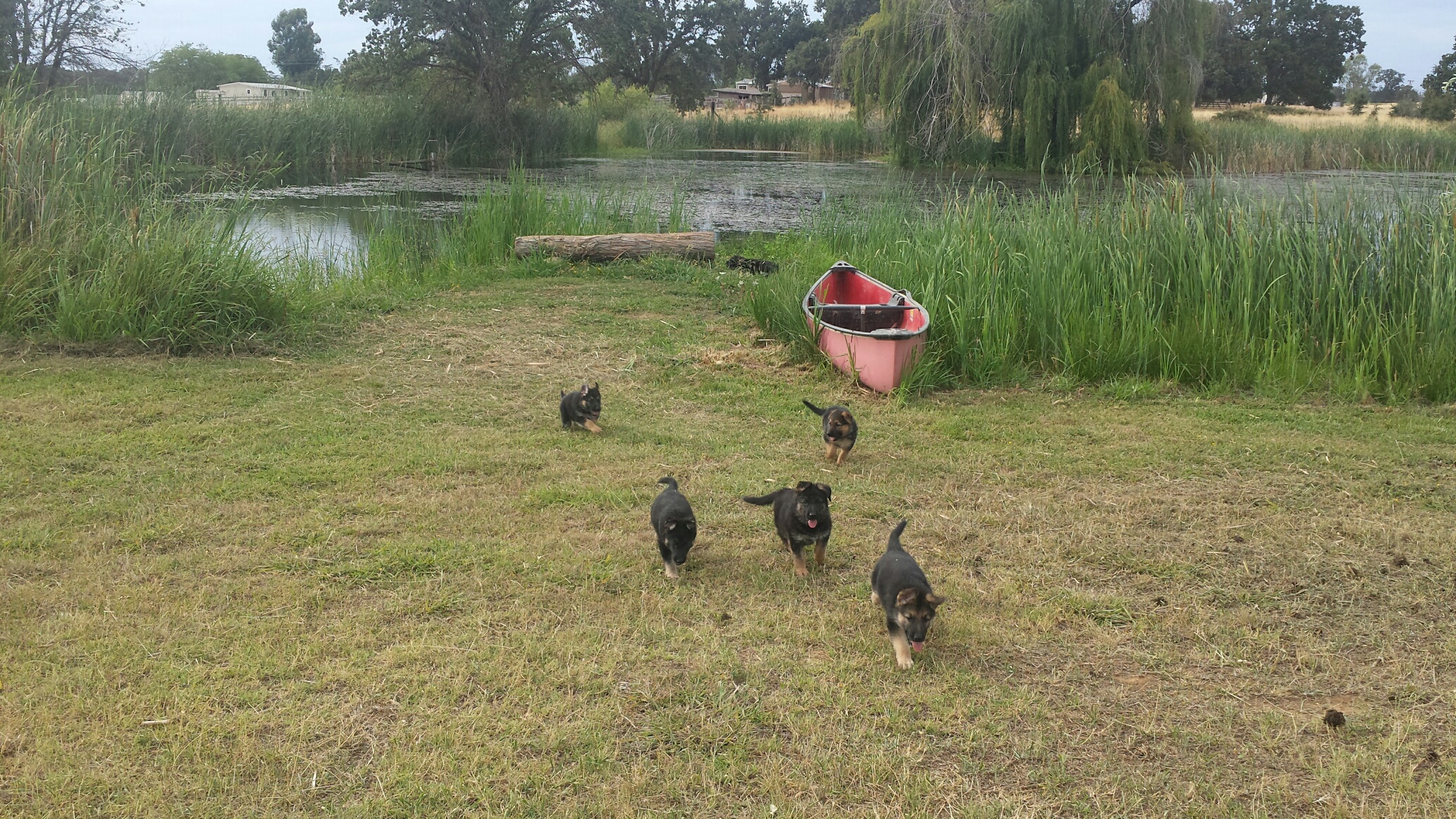 Lots of places to explore at our ranch