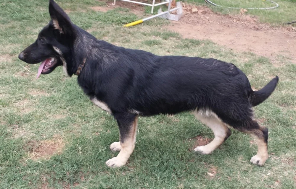 Ellie5months.jpg