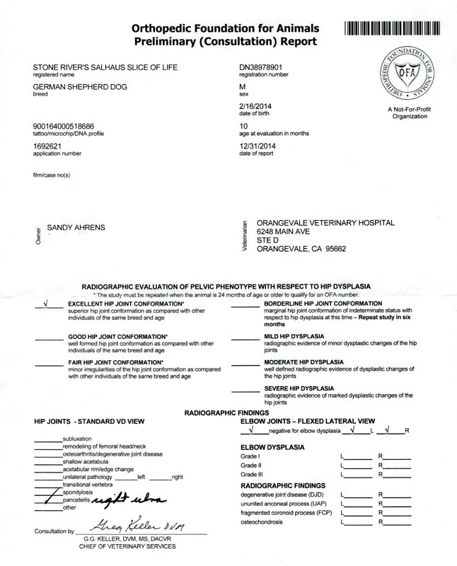 Image (22).jpg