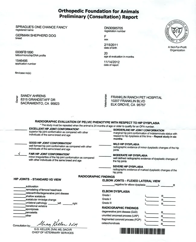 Image (21).jpg