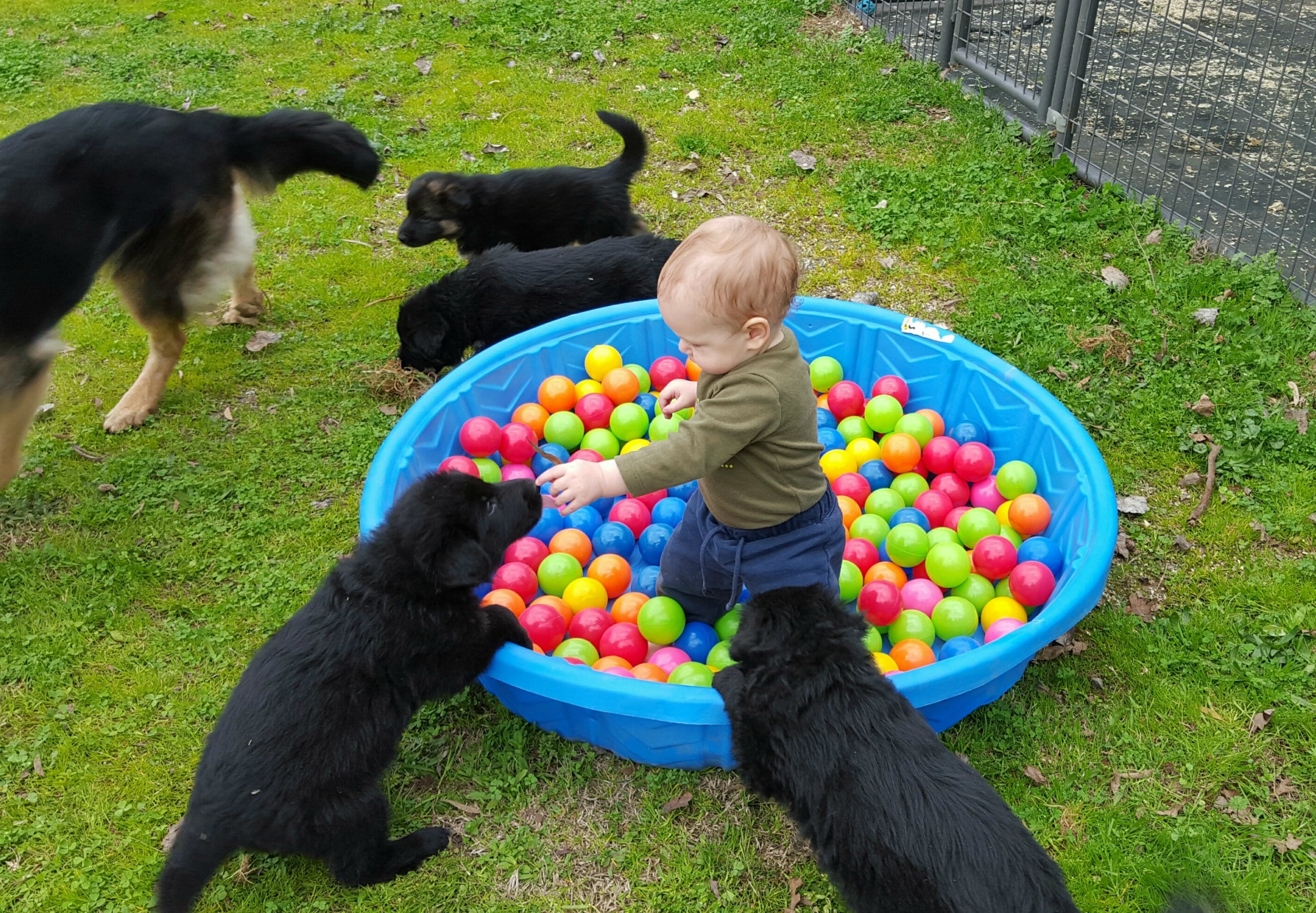 The pool with balls instead of bottles...and a baby :)