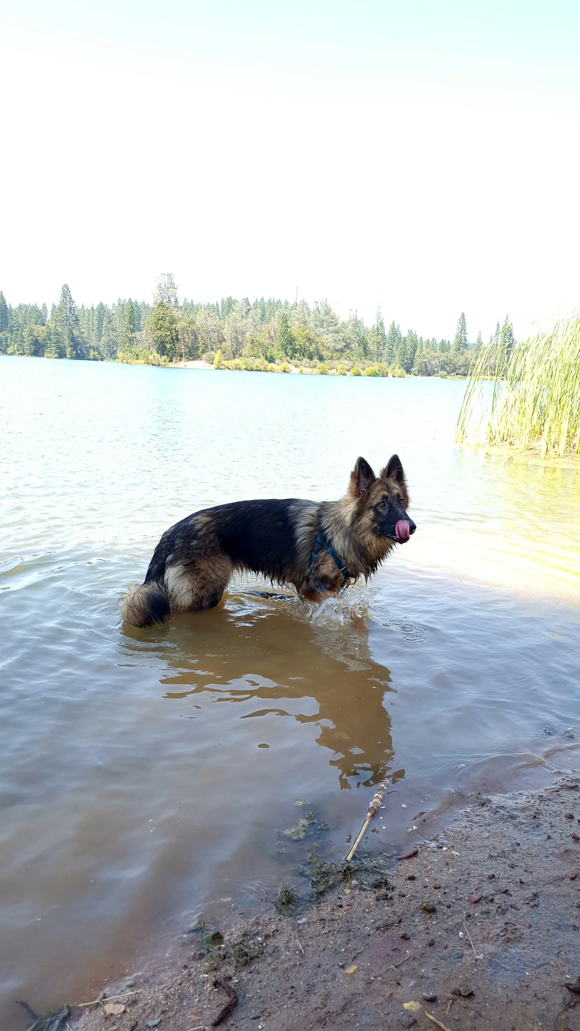 20170819_140132_resize.jpg
