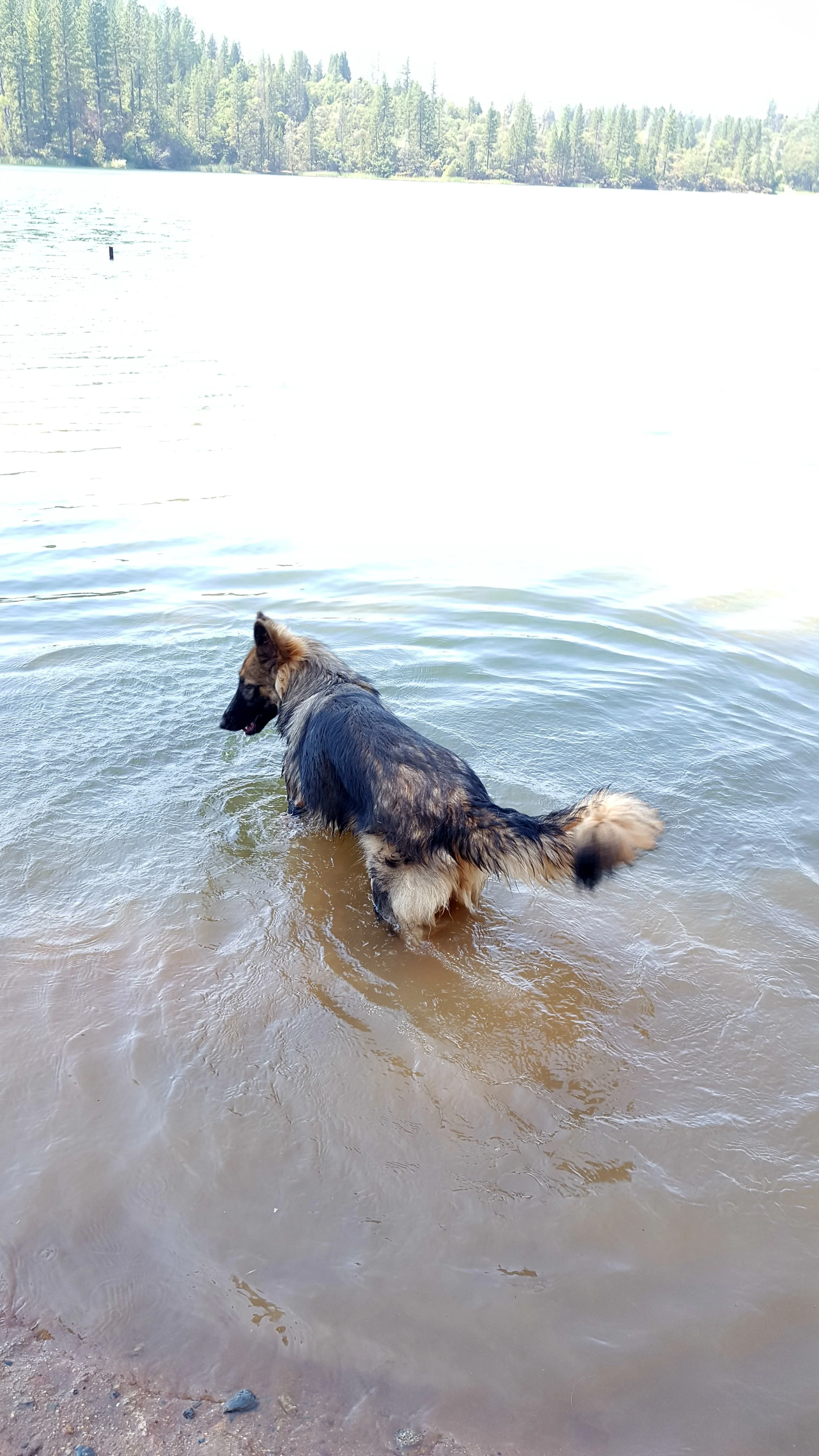 20170819_140132.jpg