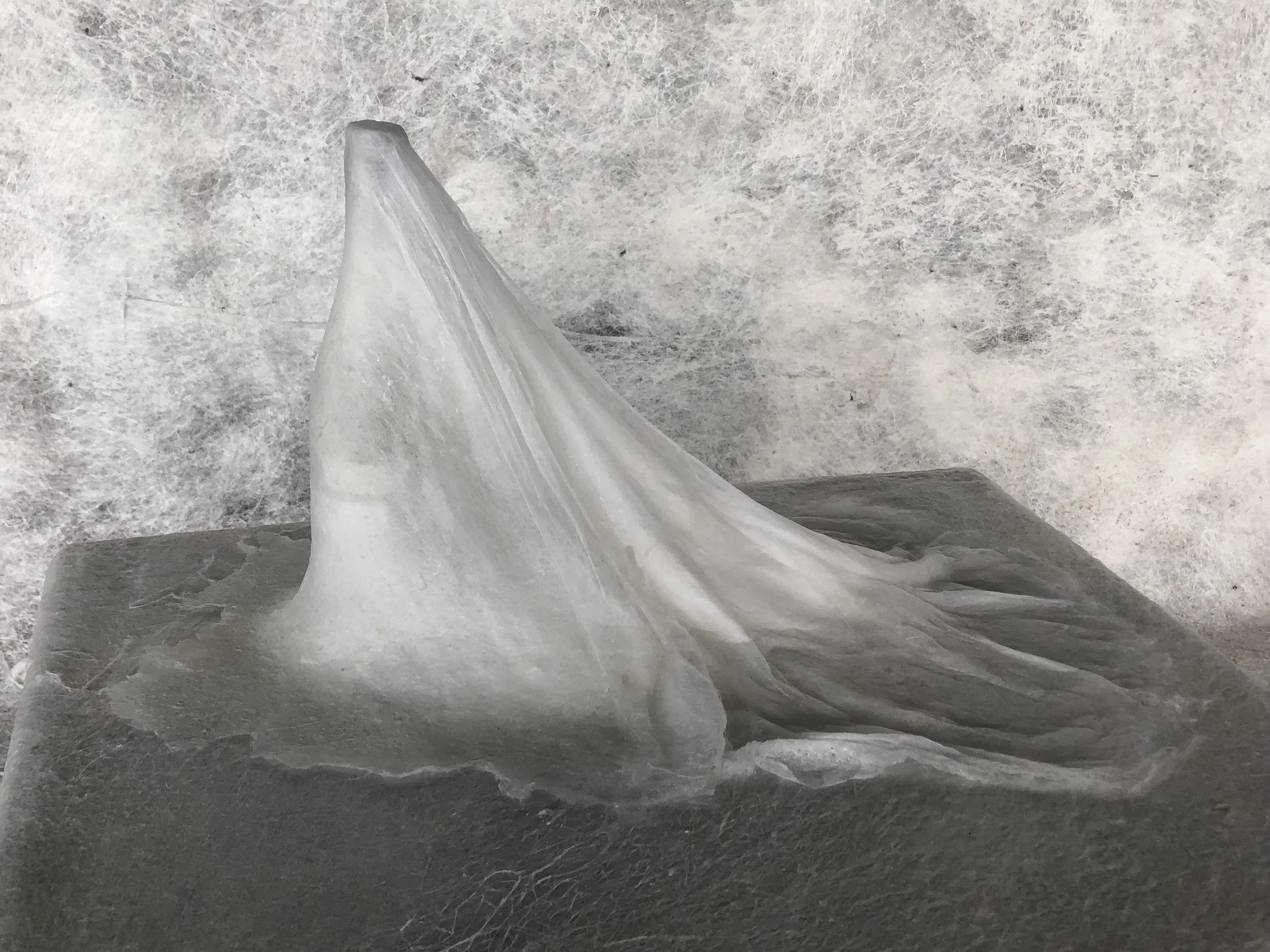 Havisham - Bottle
