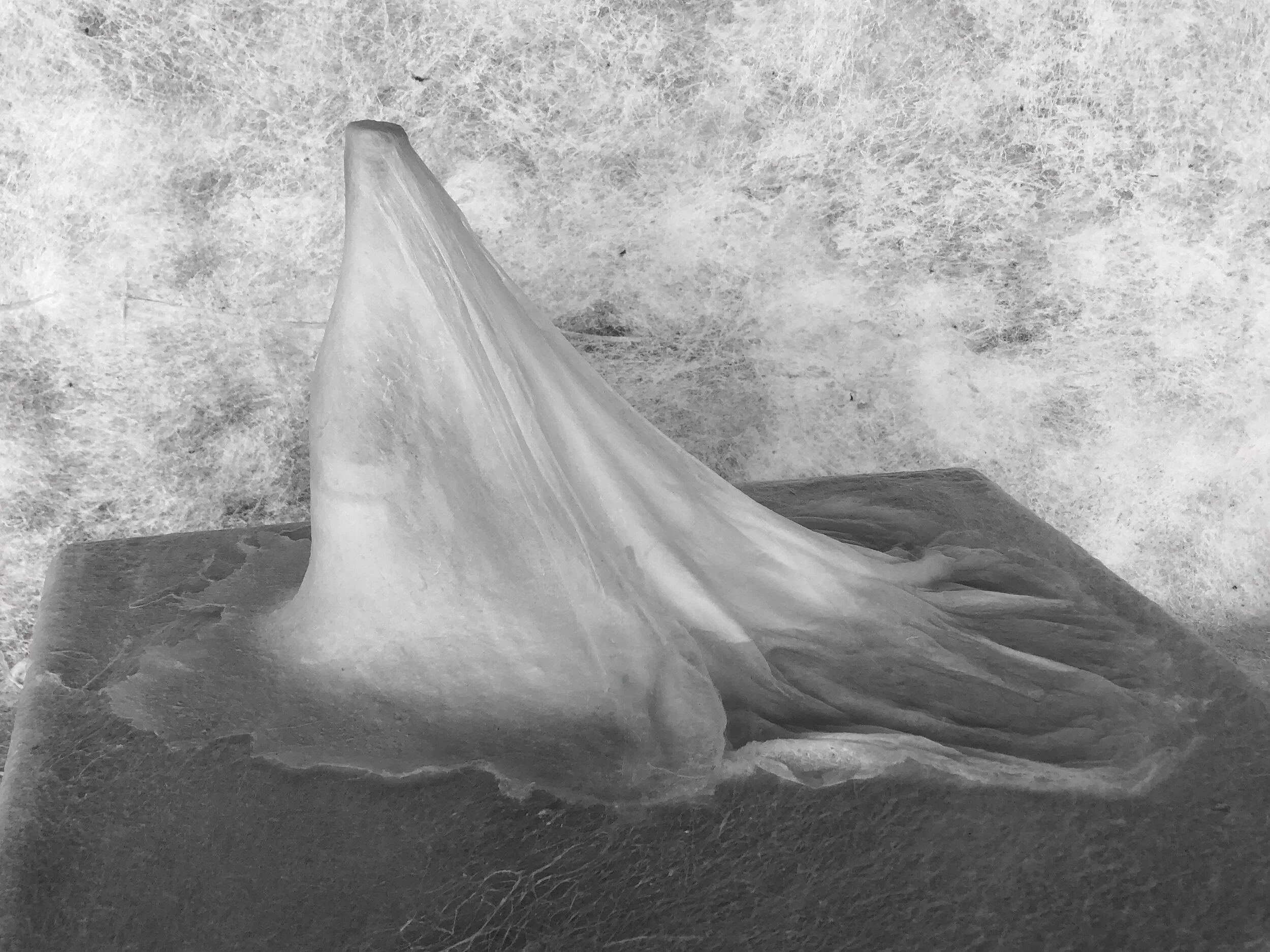 Havisham- Bottle Edit.jpeg