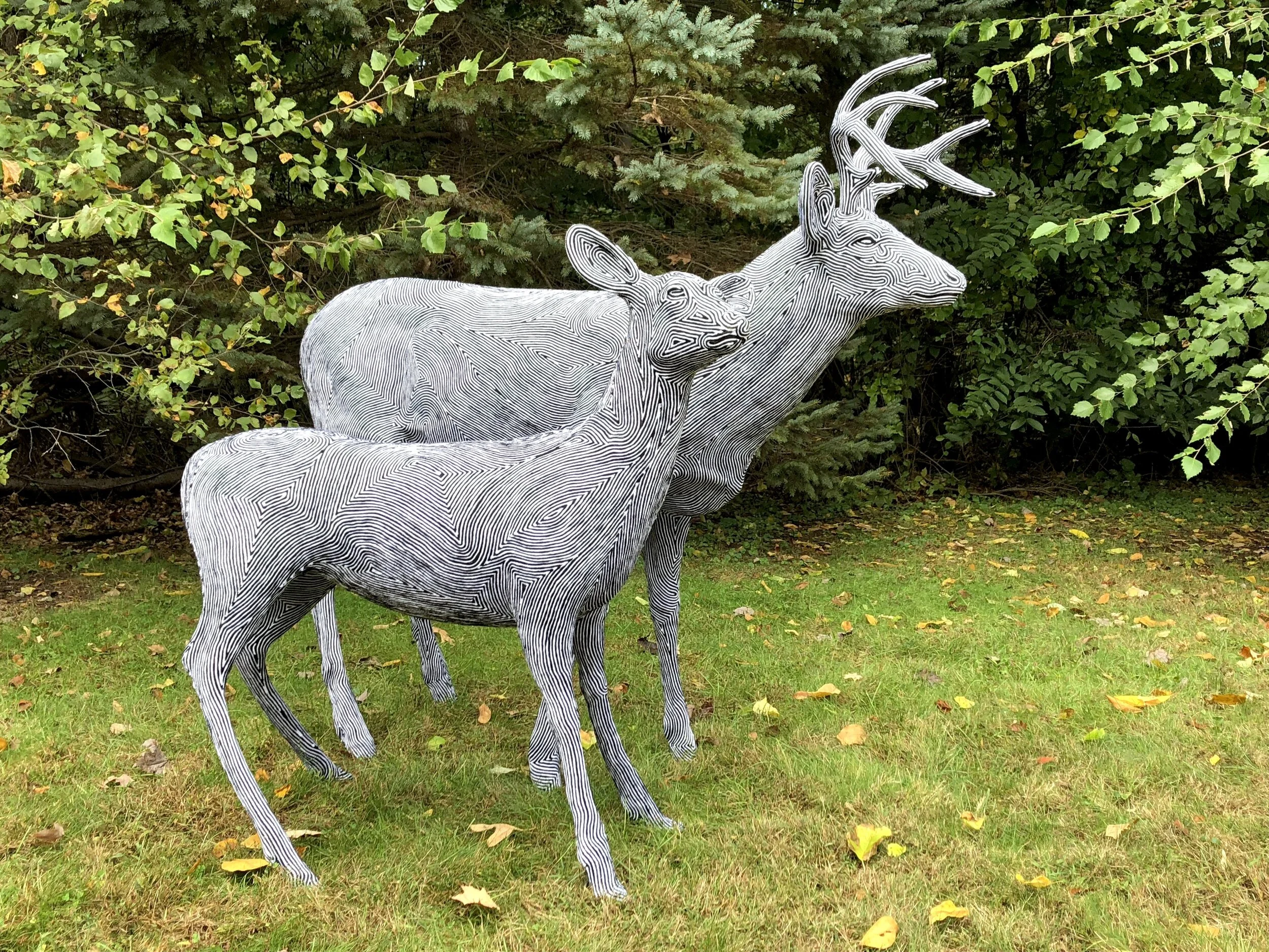 Bernie and Liza - Edit.jpeg