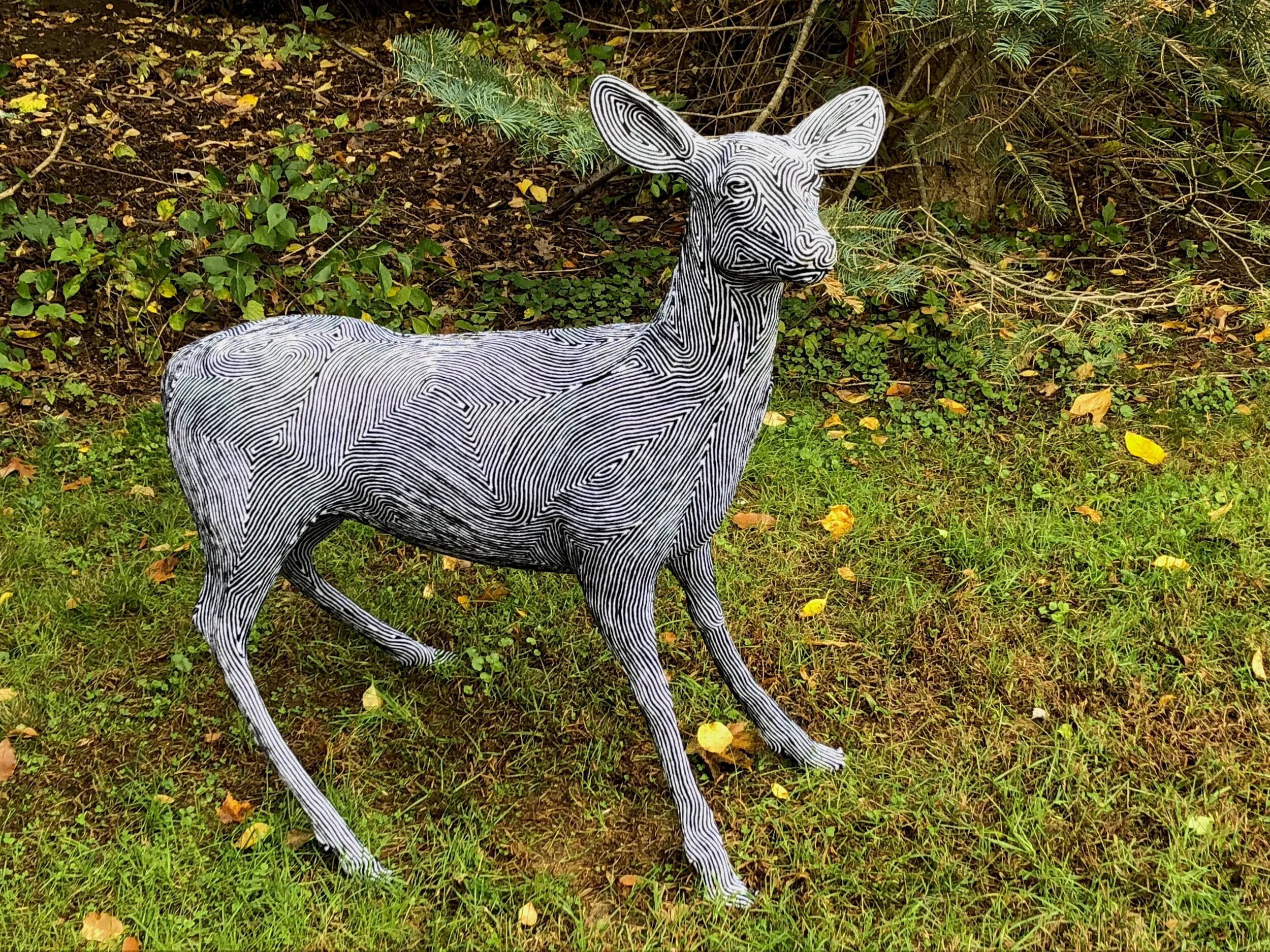 Bernie Backyard - Edit.jpeg