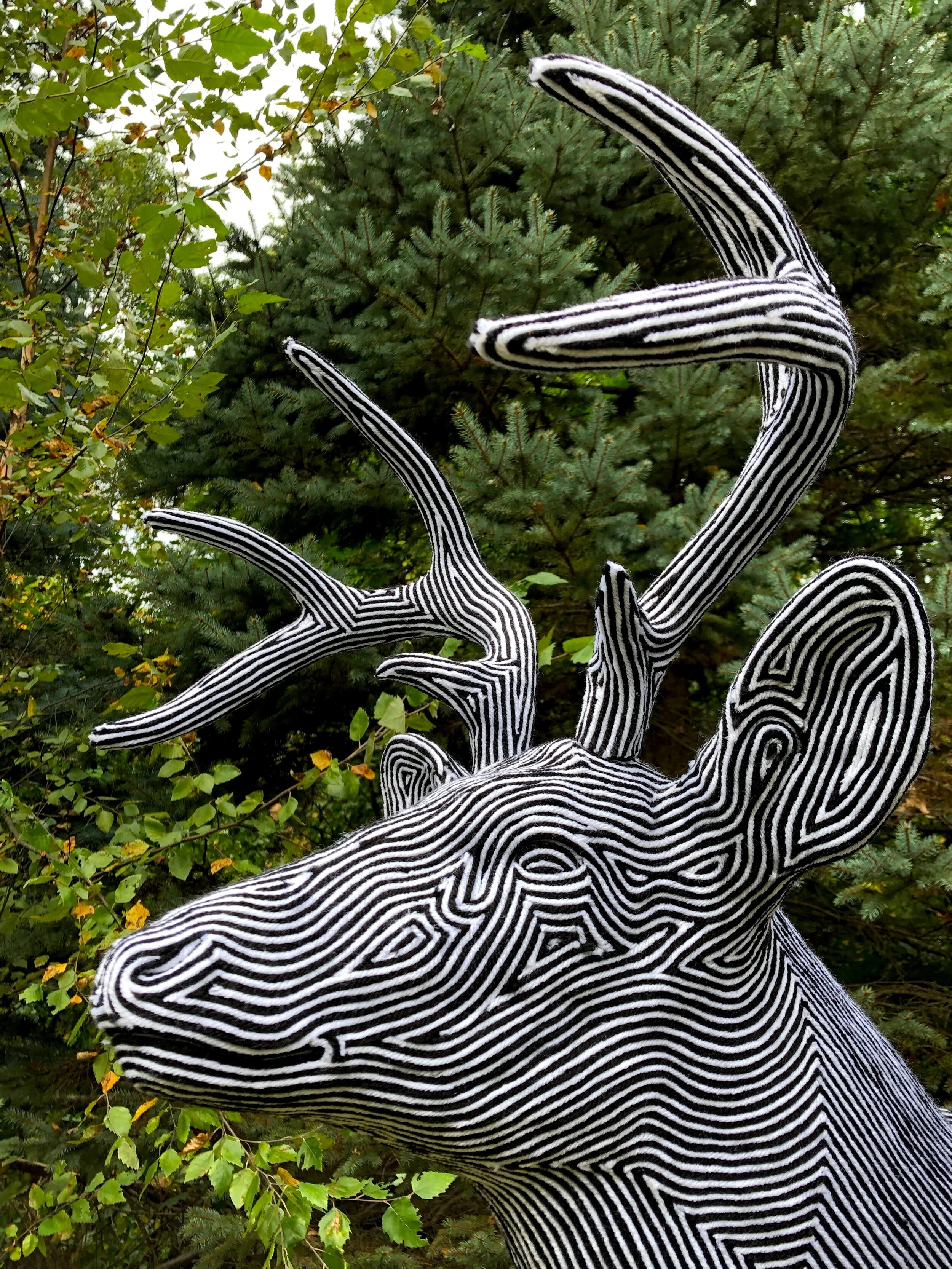 Liza - Detail Edit.jpeg