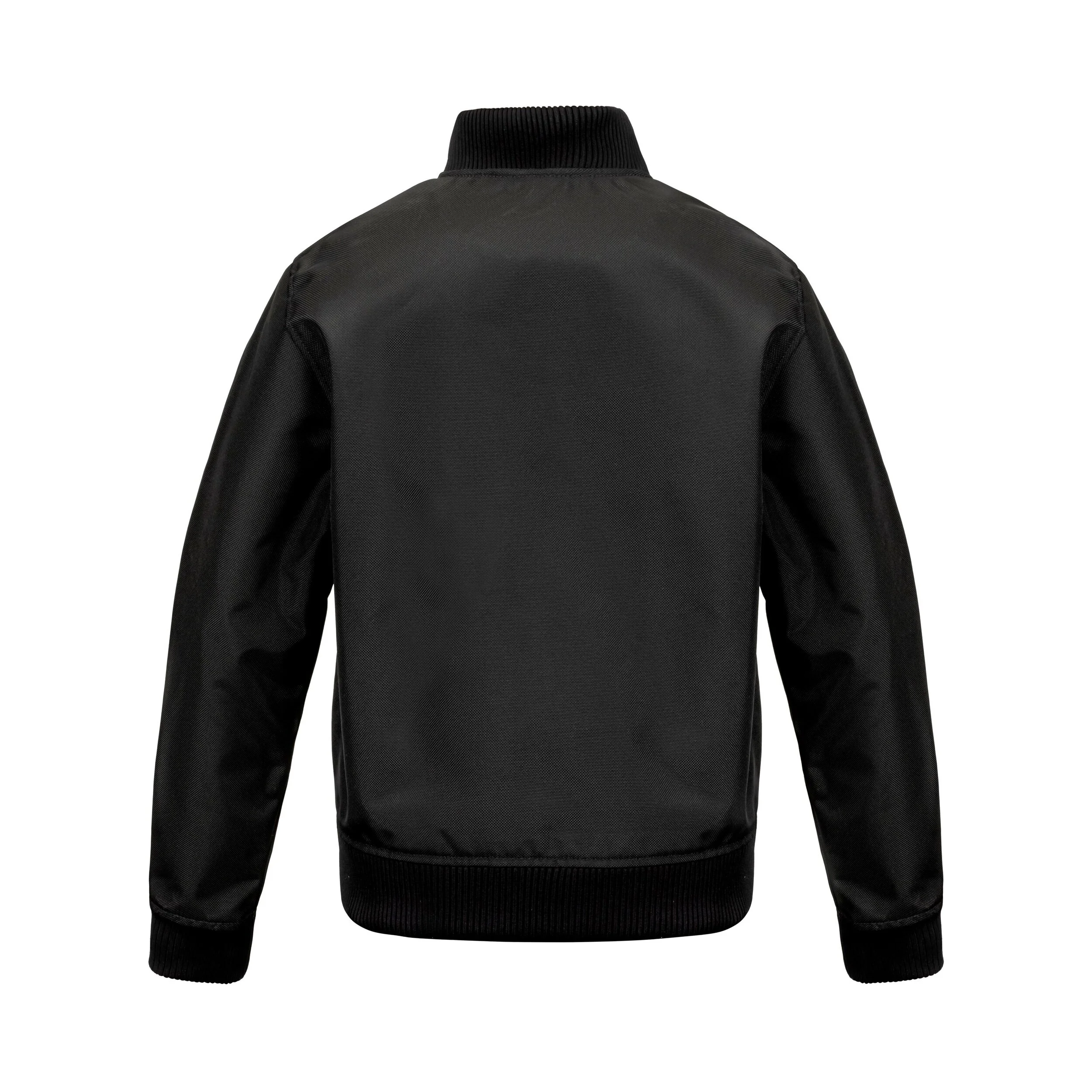 Bomber Jacket Back.JPG