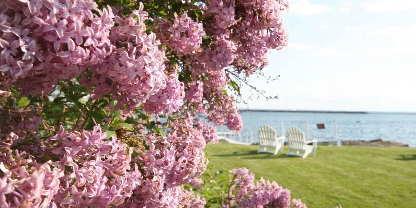 Mackinac-Island-Lilacs_preview-1380x690.jpg