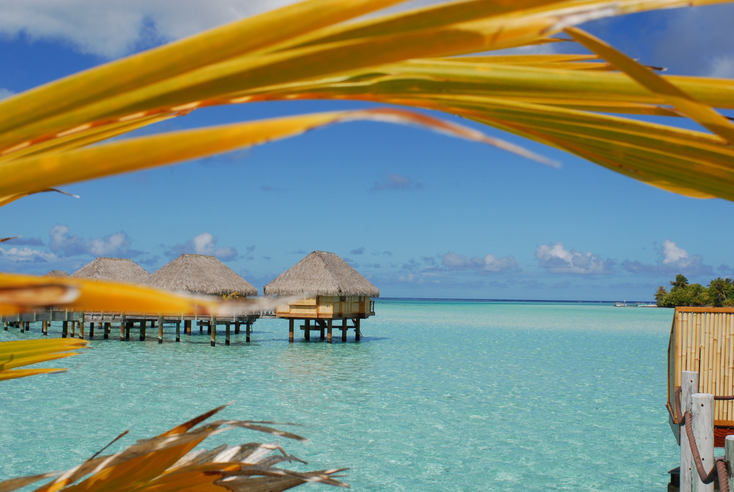 Pearl Beach Resort - Bora Bora
