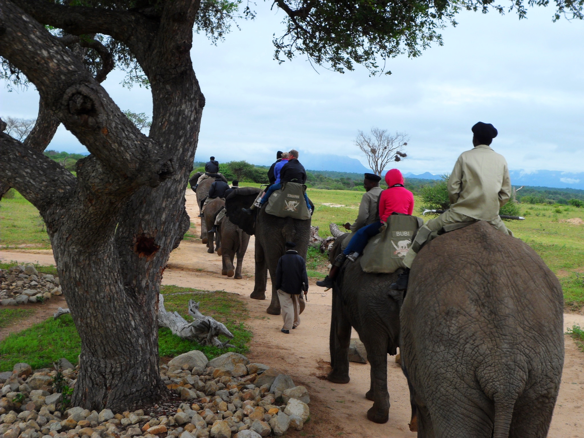Safari_Riding Elephant.jpg