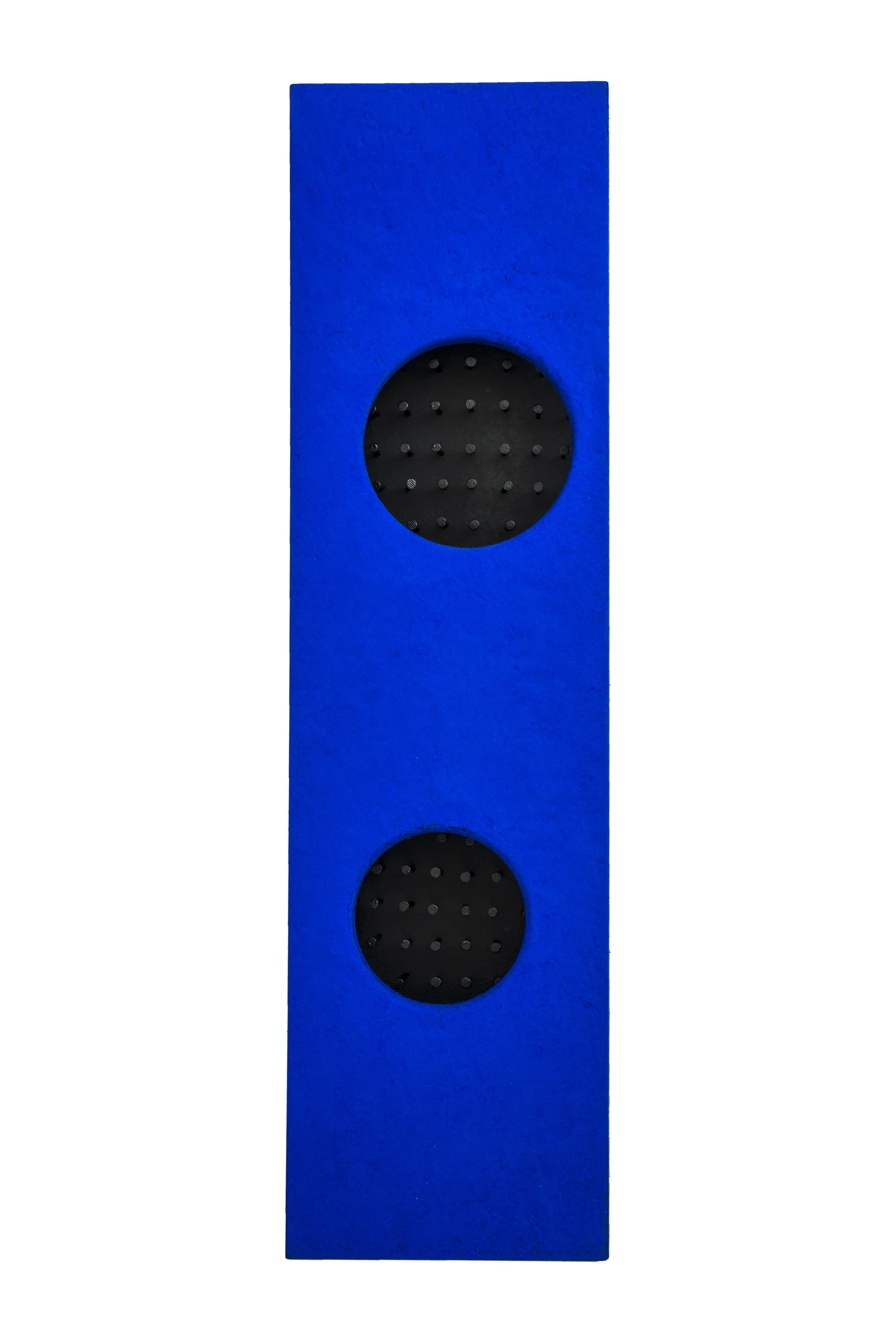 blauwlang.jpg