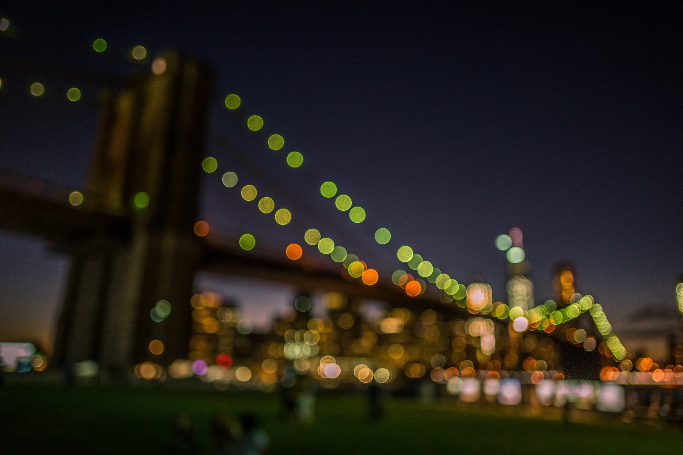 sept_2015-1140655.jpg